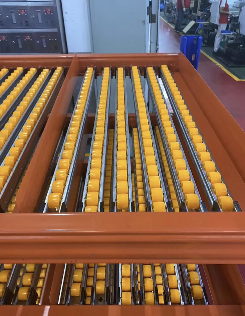 Carton Flow Racks-2
